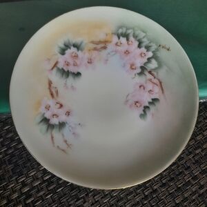 Vintage hand painted tea plate